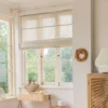 Roman Shades (2)